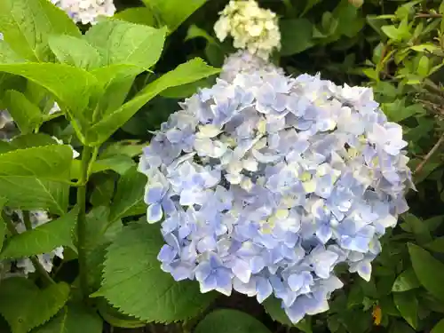 三室戸寺の自然