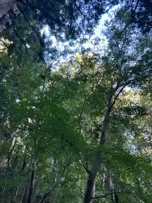 小國神社(静岡県)