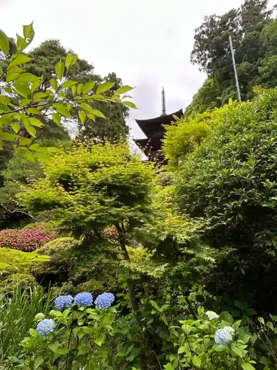 国宝 大法寺(長野県)