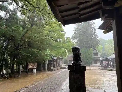 常陸國總社宮の{uncategorized: "未分類", other: "その他", undefined: "問題あり", building: "その他建物", grave: "お墓", sacred_gate: "鳥居", guardian: "狛犬", statue: "像", buddha: "仏像", history: "歴史", nature: "自然", garden: "庭園", animal: "動物", pagoda: "塔", temizu: "手水舎", mountain_gate: "山門・神門", sanctuary: "本殿・本堂", subordinate: "末社・摂社", art: "芸術", scenery: "景色", jizo: "地蔵", ema: "絵馬", goshuin: "御朱印", omikuji: "おみくじ", items: "授与品その他", amulet: "お守り", goshuincho: "御朱印帳", eats: "食事", festival: "お祭り", votive_dance: "神楽", shichigosan: "七五三参", wedding: "結婚式", experience: "体験その他", initially: "初詣", around: "周辺", anti_infection: "感染症対策"}