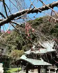 根岸八幡神社(神奈川県)