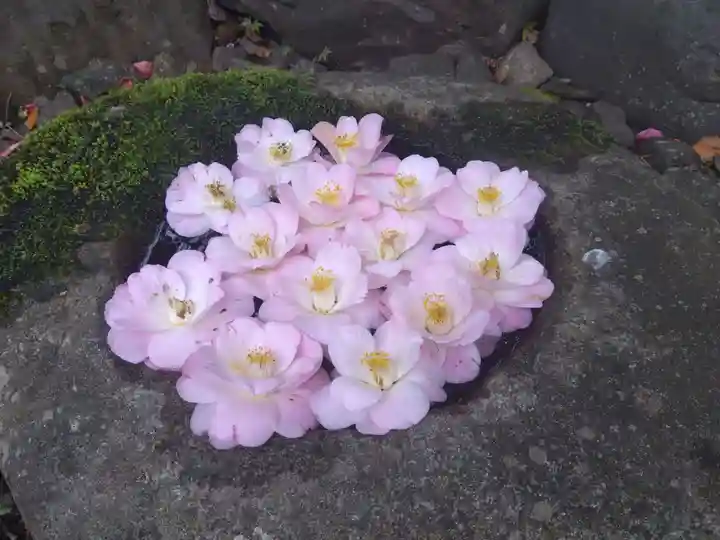 霊鑑寺門跡(京都府)