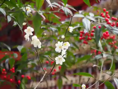 荏柄天神社(神奈川県)