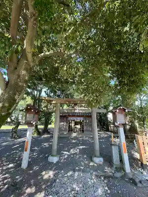 綱越神社(大神神社摂社)の鳥居