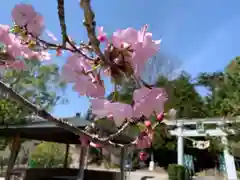 滑川神社 - 仕事と子どもの守り神の景色