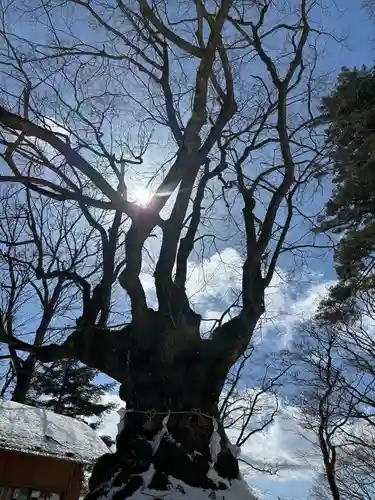 熊野皇大神社(長野県)