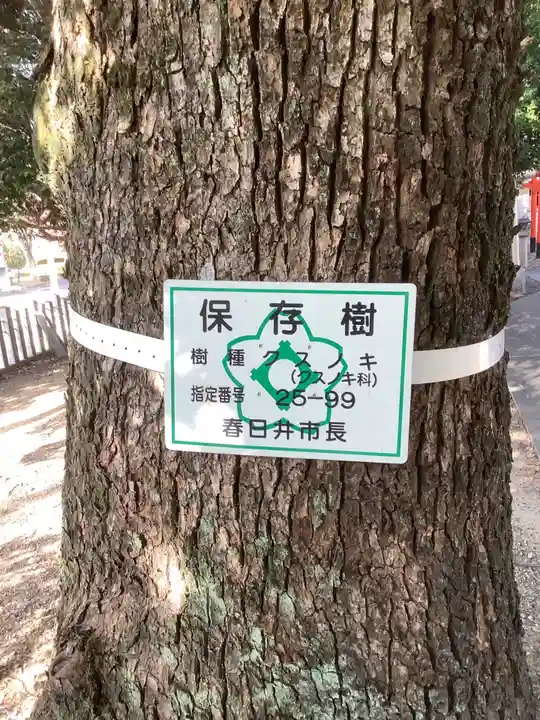 神明社(神明大明神)の自然