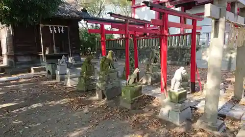 美濃輪稲荷神社の狛犬