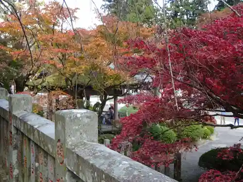 最乗寺（道了尊）の自然