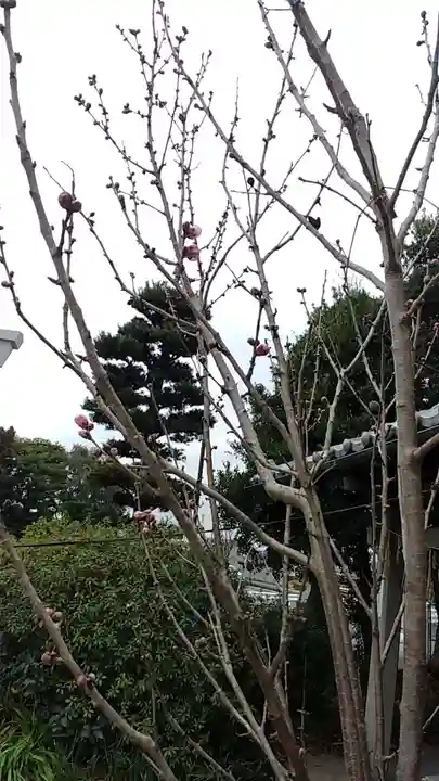 比佐豆知神社(三重県)