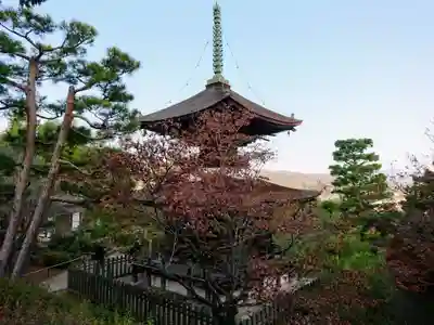 常寂光寺のその他建物