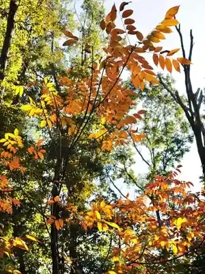 浄土寺(兵庫県)
