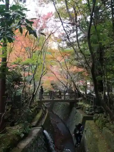 五所駒瀧神社の庭園