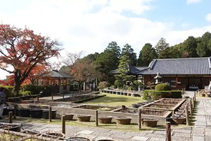 三室戸寺のその他建物