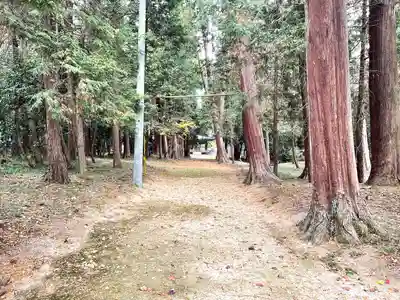 若松天神社(滋賀県)