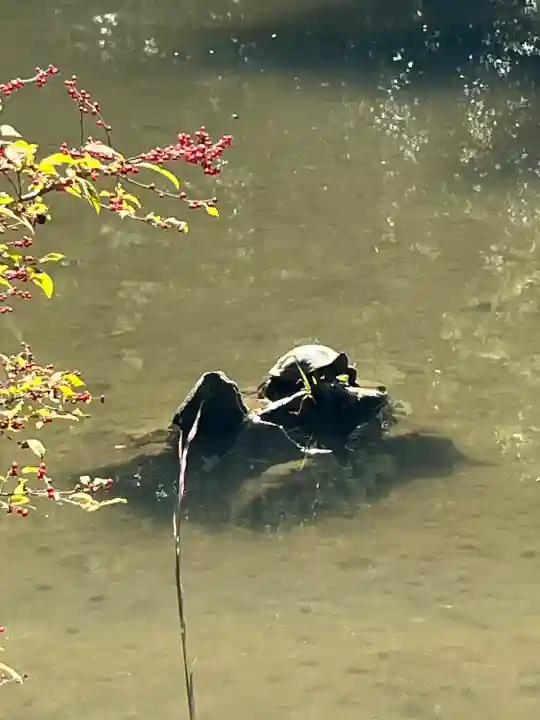 円成寺(奈良県)