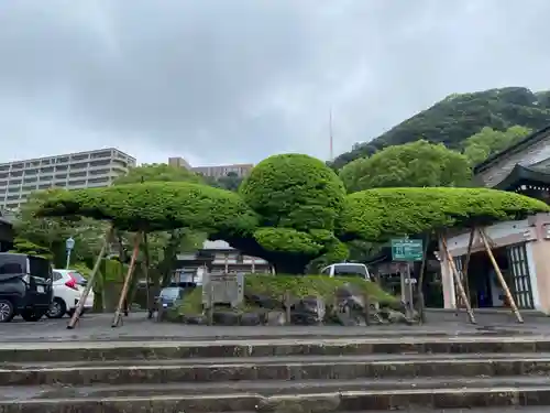 照國神社(鹿児島県)