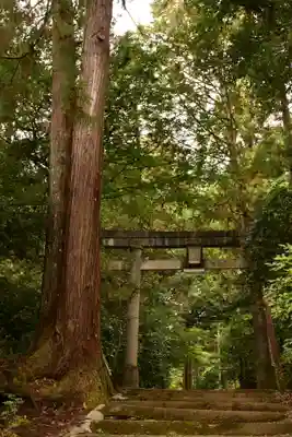 若一王子宮(高知県)