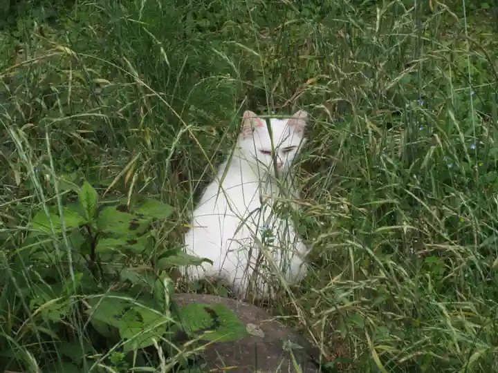 円通寺(埼玉県)