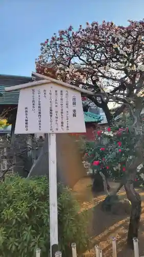 西新井大師総持寺(東京都)
