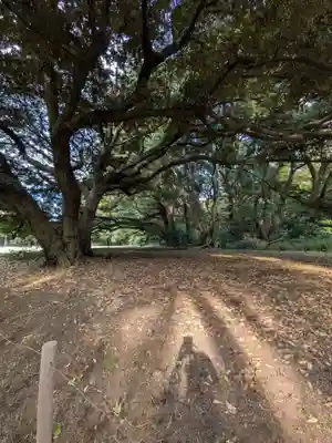 明治神宮(東京都)