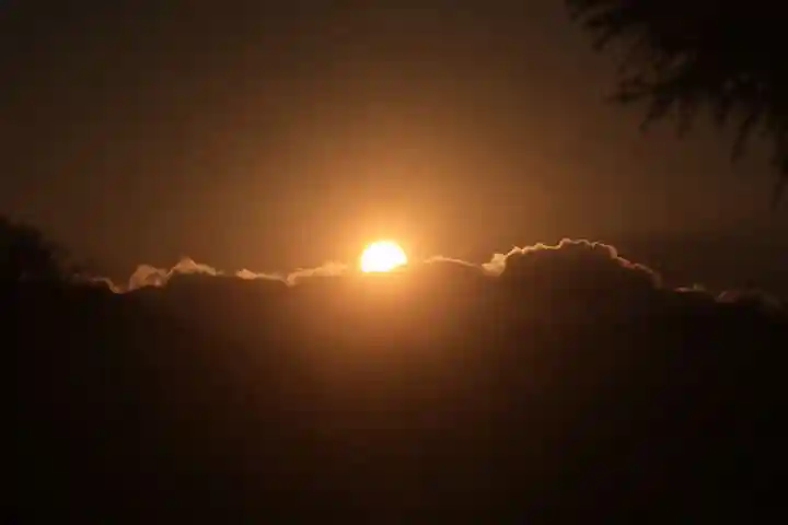 阿久津「田村神社」(郡山市阿久津町)旧社名:伊豆箱根三嶋三社の自然