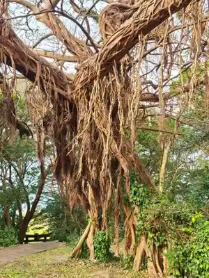 住吉神社(長崎県)