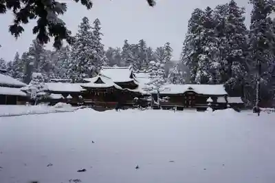 多賀大社の本殿・本堂