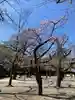靖國神社の庭園