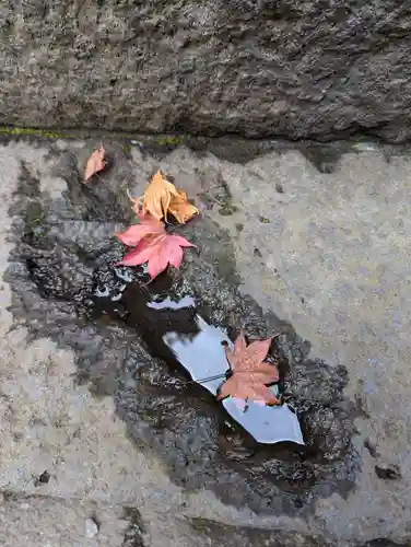 北口本宮冨士浅間神社(山梨県)