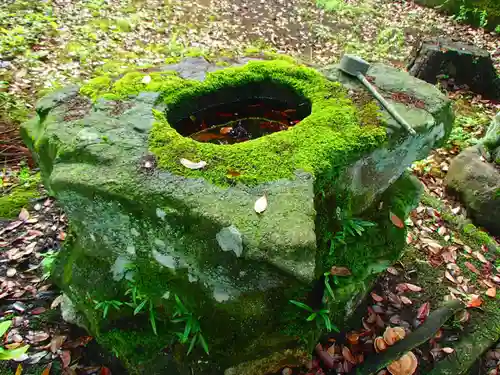 大洗磯前神社の手水舎