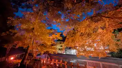 出雲大神宮(京都府)