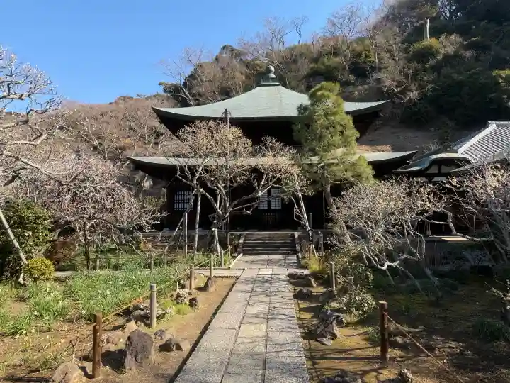 瑞泉寺の{uncategorized: "未分類", other: "その他", undefined: "問題あり", building: "その他建物", grave: "お墓", sacred_gate: "鳥居", guardian: "狛犬", statue: "像", buddha: "仏像", history: "歴史", nature: "自然", garden: "庭園", animal: "動物", pagoda: "塔", temizu: "手水舎", mountain_gate: "山門・神門", sanctuary: "本殿・本堂", subordinate: "末社・摂社", art: "芸術", scenery: "景色", jizo: "地蔵", ema: "絵馬", goshuin: "御朱印", omikuji: "おみくじ", items: "授与品その他", amulet: "お守り", goshuincho: "御朱印帳", eats: "食事", festival: "お祭り", votive_dance: "神楽", shichigosan: "七五三参", wedding: "結婚式", experience: "体験その他", initially: "初詣", around: "周辺", anti_infection: "感染症対策"}