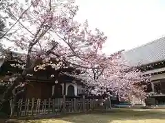 本宗寺の庭園