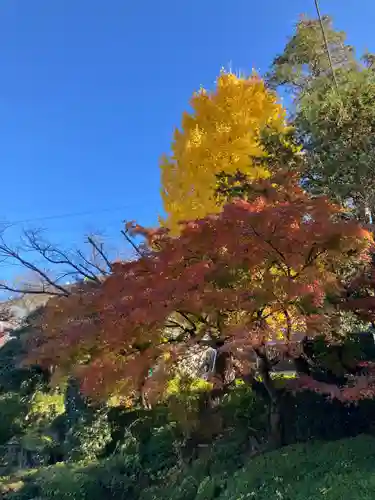 西光寺(神奈川県)