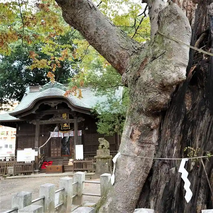 阿邪訶根神社の本殿・本堂