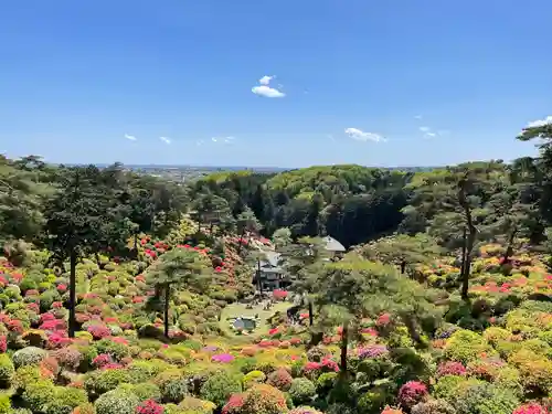 塩船観音寺の景色