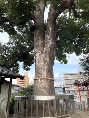 菅原天満宮(大阪府)