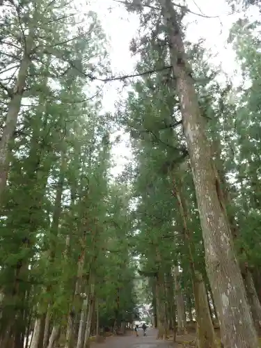 大斎原（熊野本宮大社旧社地）(和歌山県)