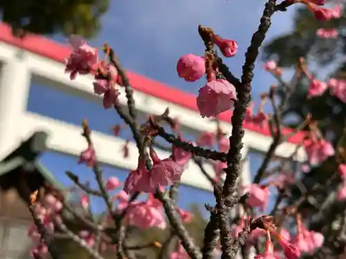鎌倉宮の{uncategorized: "未分類", other: "その他", undefined: "問題あり", building: "その他建物", grave: "お墓", sacred_gate: "鳥居", guardian: "狛犬", statue: "像", buddha: "仏像", history: "歴史", nature: "自然", garden: "庭園", animal: "動物", pagoda: "塔", temizu: "手水舎", mountain_gate: "山門・神門", sanctuary: "本殿・本堂", subordinate: "末社・摂社", art: "芸術", scenery: "景色", jizo: "地蔵", ema: "絵馬", goshuin: "御朱印", omikuji: "おみくじ", items: "授与品その他", amulet: "お守り", goshuincho: "御朱印帳", eats: "食事", festival: "お祭り", votive_dance: "神楽", shichigosan: "七五三参", wedding: "結婚式", experience: "体験その他", initially: "初詣", around: "周辺", anti_infection: "感染症対策"}