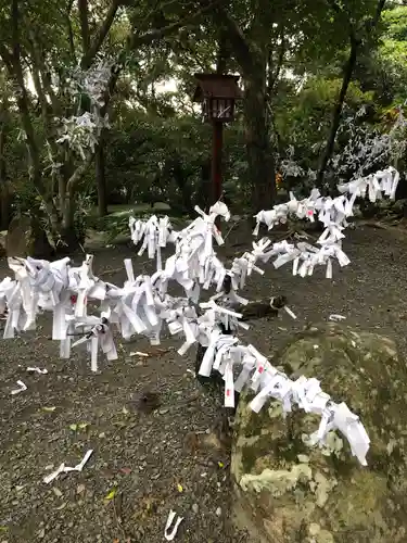 熊野神社のおみくじ