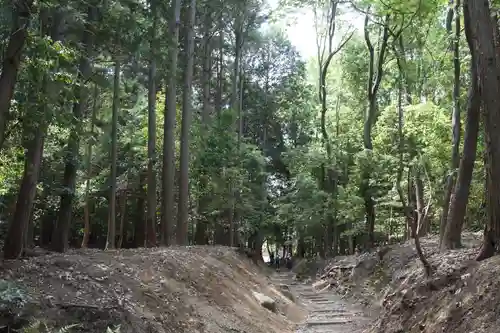 御蔭神社(京都府)