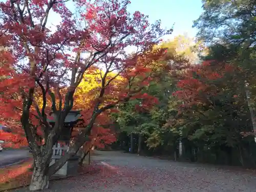 鷹栖神社の庭園