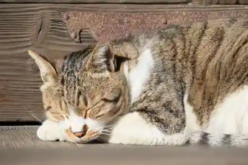 阿邪訶根神社(福島県)