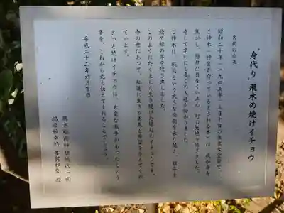 飛木稲荷神社の歴史