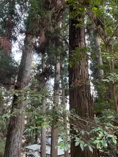 大宮温泉神社(栃木県)