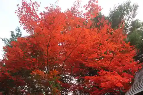 滑川神社 - 仕事と子どもの守り神の自然