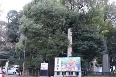 日枝神社(東京都)