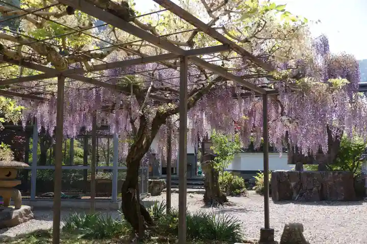 天台宗 五大山 白毫寺(兵庫県)