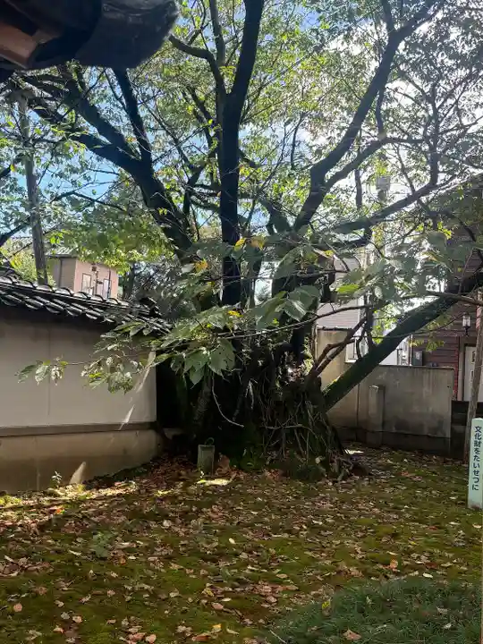 松月寺(石川県)